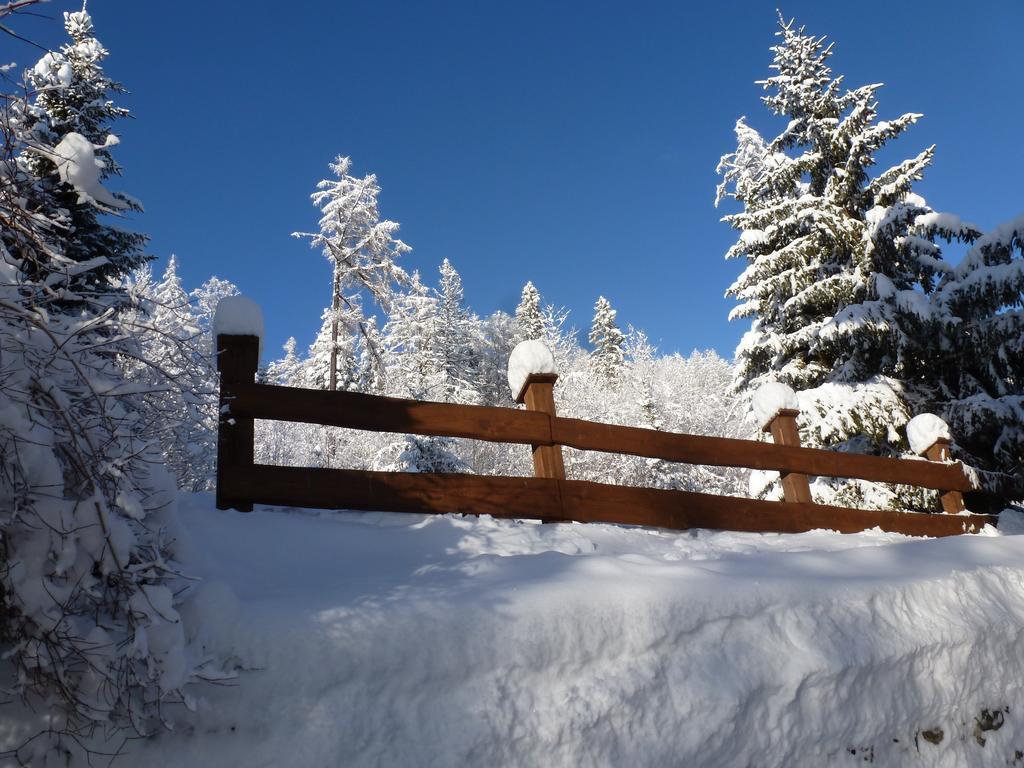 Erika Penzion Vysoké Tatry エクステリア 写真
