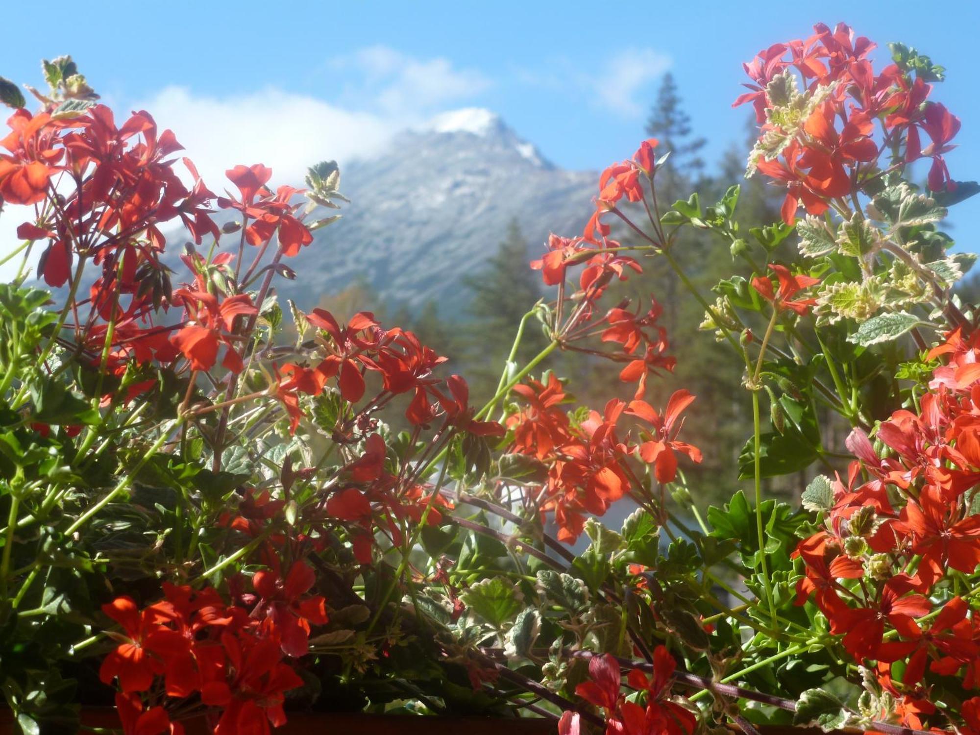 Erika Penzion Vysoké Tatry エクステリア 写真
